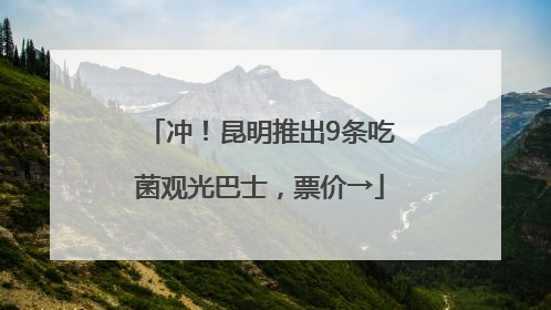 冲！昆明推出9条吃菌观光巴士，票价→