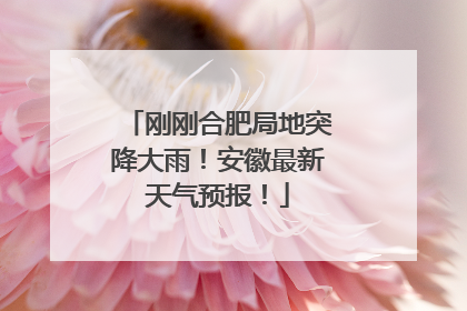 刚刚合肥局地突降大雨！安徽最新天气预报！