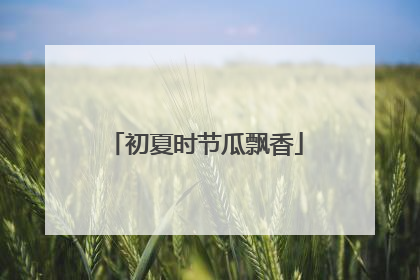 初夏时节瓜飘香