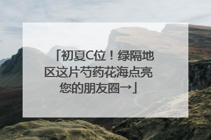 初夏C位！绿隔地区这片芍药花海点亮您的朋友圈→