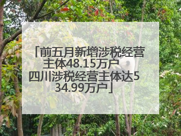 前五月新增涉税经营主体48.15万户 四川涉税经营主体达534.99万户