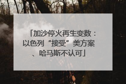 加沙停火再生变数：以色列“接受”美方案、哈马斯不认可