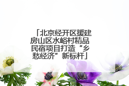 北京经开区援建房山区水峪村精品民宿项目打造“乡愁经济”新标杆