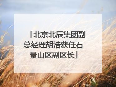 北京北辰集团副总经理胡浩获任石景山区副区长