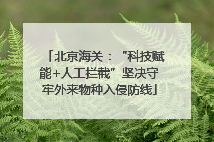 北京海关：“科技赋能+人工拦截”坚决守牢外来物种入侵防线