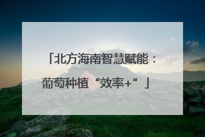 北方海南智慧赋能：葡萄种植“效率+”