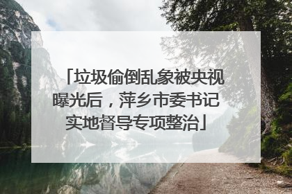 垃圾偷倒乱象被央视曝光后，萍乡市委书记实地督导专项整治