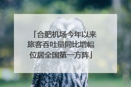 合肥机场今年以来旅客吞吐量同比增幅位居全国第一方阵