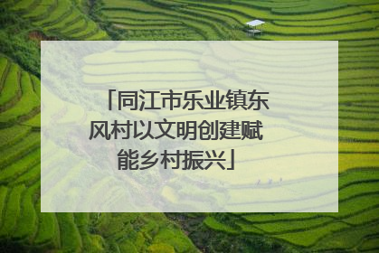同江市乐业镇东风村以文明创建赋能乡村振兴