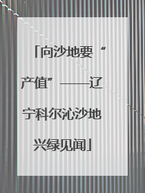向沙地要“产值”——辽宁科尔沁沙地兴绿见闻