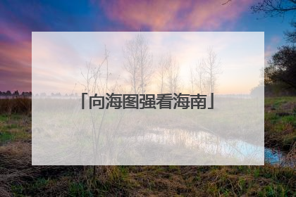向海图强看海南