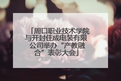 周口职业技术学院与开封住成电装有限 公司举办“产教融合”表彰大会