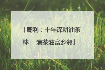 周利：十年深耕油茶林 一滴茶油富乡邻