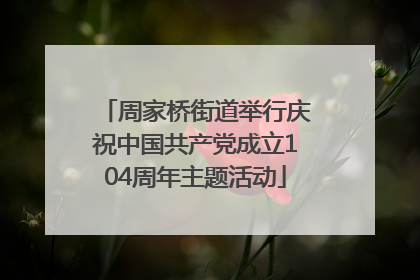 周家桥街道举行庆祝中国共产党成立104周年主题活动
