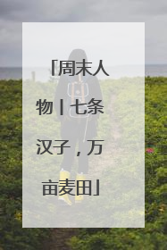 周末人物丨七条汉子，万亩麦田