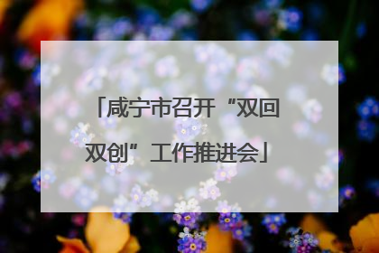 咸宁市召开“双回双创”工作推进会
