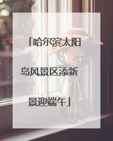 哈尔滨太阳岛风景区添新景迎端午