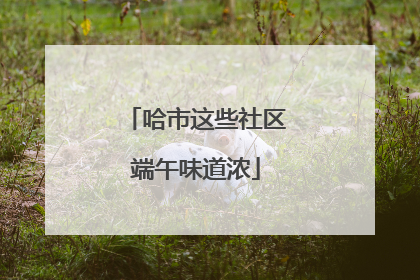 哈市这些社区端午味道浓