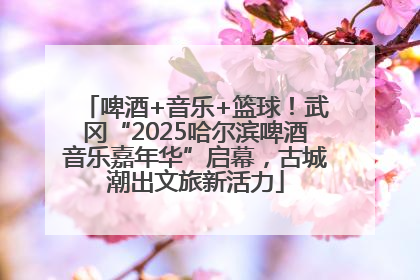 啤酒+音乐+篮球！武冈“2025哈尔滨啤酒音乐嘉年华”启幕，古城潮出文旅新活力