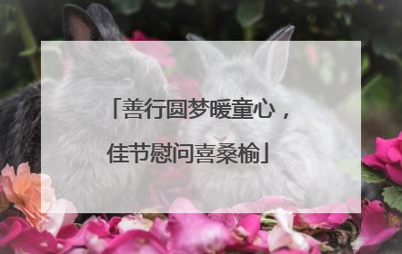 善行圆梦暖童心，佳节慰问喜桑榆