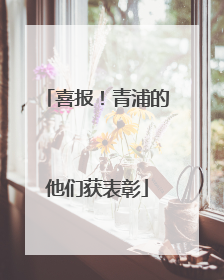 喜报！青浦的他们获表彰