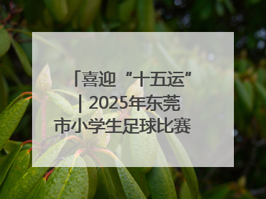喜迎“十五运”｜2025年东莞市小学生足球比赛圆满收官