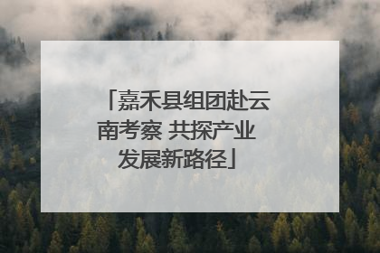 嘉禾县组团赴云南考察 共探产业发展新路径