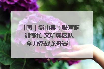图｜衡山县：鼓声响 训练忙 文明奥区队全力备战龙舟赛