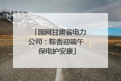 国网甘肃省电力公司：粽香迎端午 保电护安康
