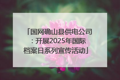 国网确山县供电公司：开展2025年国际档案日系列宣传活动