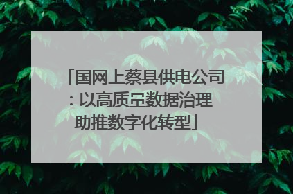国网上蔡县供电公司：以高质量数据治理 助推数字化转型