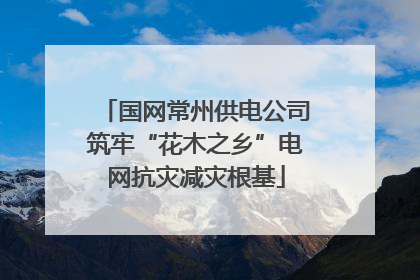 国网常州供电公司筑牢“花木之乡”电网抗灾减灾根基
