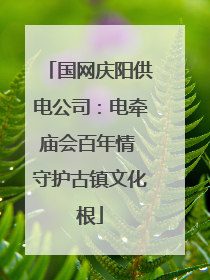 国网庆阳供电公司：电牵庙会百年情 守护古镇文化根