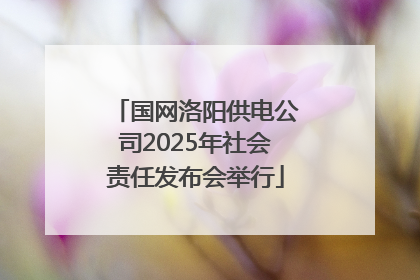 国网洛阳供电公司2025年社会责任发布会举行