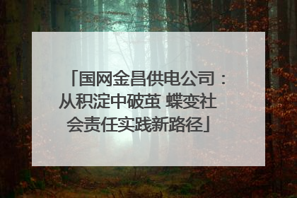 国网金昌供电公司：从积淀中破茧 蝶变社会责任实践新路径