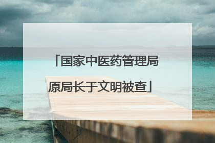 国家中医药管理局原局长于文明被查