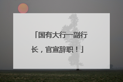 国有大行一副行长，官宣辞职！