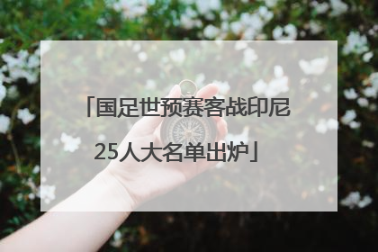 国足世预赛客战印尼25人大名单出炉