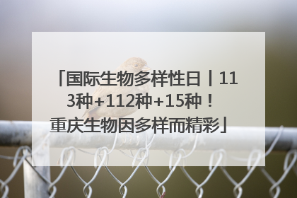 国际生物多样性日丨113种+112种+15种！重庆生物因多样而精彩