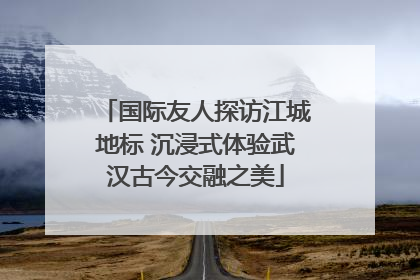 国际友人探访江城地标 沉浸式体验武汉古今交融之美