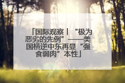 国际观察丨“极为恶劣的先例”——美国横逆中东再显“强食弱肉”本性