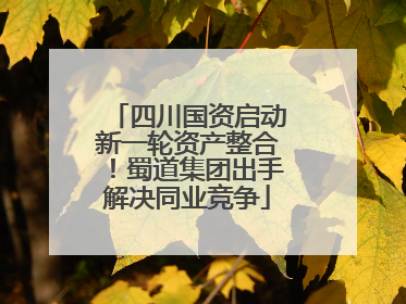 四川国资启动新一轮资产整合！蜀道集团出手解决同业竞争