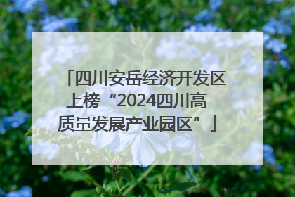 四川安岳经济开发区上榜“2024四川高质量发展产业园区”