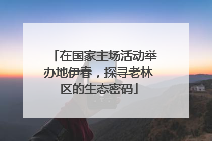 在国家主场活动举办地伊春，探寻老林区的生态密码