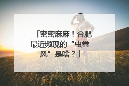 密密麻麻！合肥最近频现的“虫卷风”是啥？