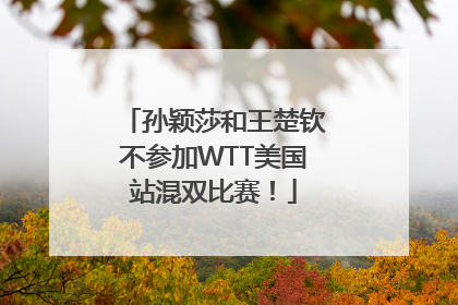孙颖莎和王楚钦不参加WTT美国站混双比赛！