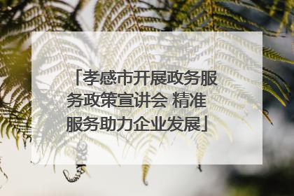 孝感市开展政务服务政策宣讲会 精准服务助力企业发展