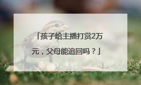 孩子给主播打赏2万元，父母能追回吗？