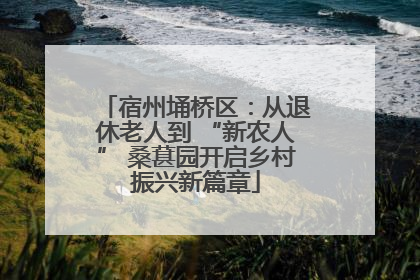 宿州埇桥区：从退休老人到 “新农人” 桑葚园开启乡村振兴新篇章
