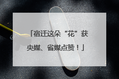 宿迁这朵“花”获央媒、省媒点赞！